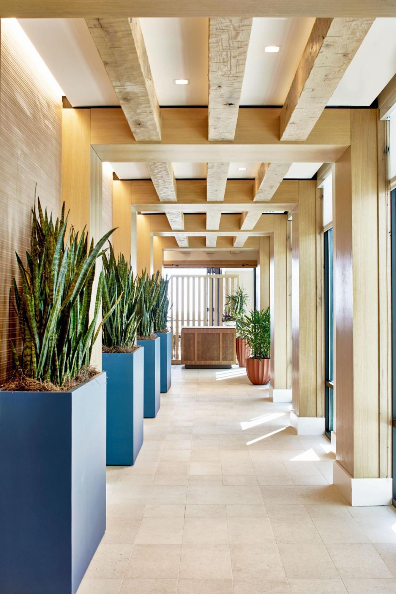 Springhill Suites By Marriott Jacksonville Beach Oceanfront Kültér fotó
