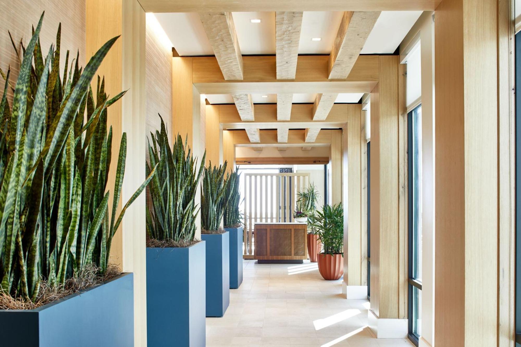 Springhill Suites By Marriott Jacksonville Beach Oceanfront Kültér fotó